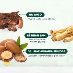 Dầu gội phủ bạc Weilaiya Nâu – Che phủ tóc bạc tự nhiên & dưỡng tóc mềm mượt