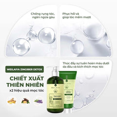 Dầu gội Gừng Vân Nam Weilaiya Luxury – Detox da đầu & kích thích mọc tóc X2