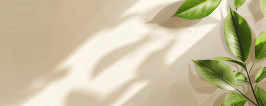 Chống nắng toàn diện cho tóc và da: Bạn đã làm đúng cách chưa?