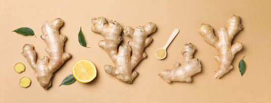 Review: Bộ dầu gội xả gừng trắng Weilaiya – Dịu nhẹ, sạch sâu và thơm tự nhiên