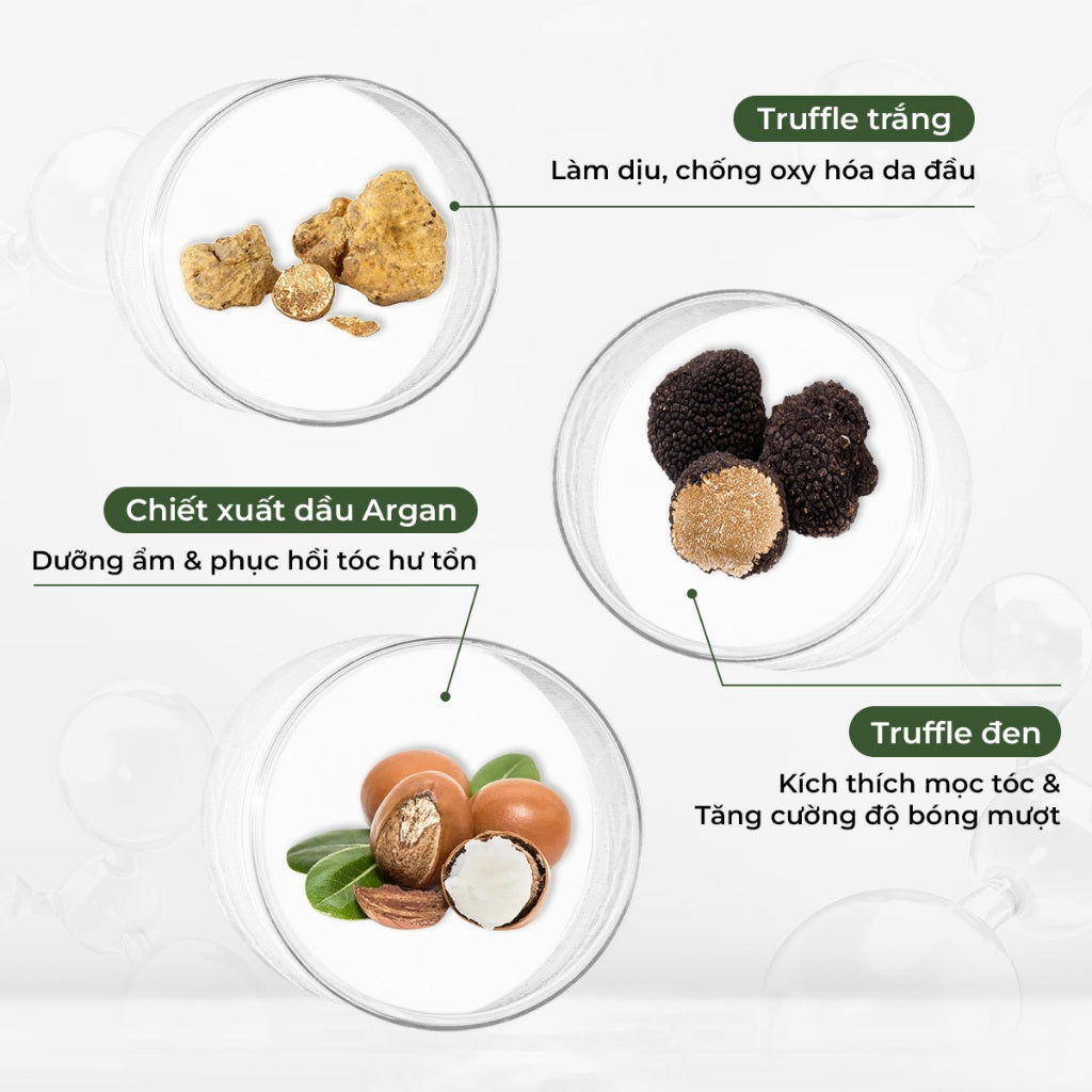 Dầu hấp tóc phục hồi đa tầng Weilaiya – Phục hồi chuyên sâu & nuôi dưỡng tóc hư tổn