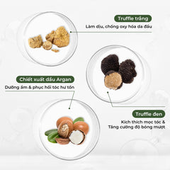 Dầu hấp tóc phục hồi đa tầng Weilaiya – Phục hồi chuyên sâu & nuôi dưỡng tóc hư tổn