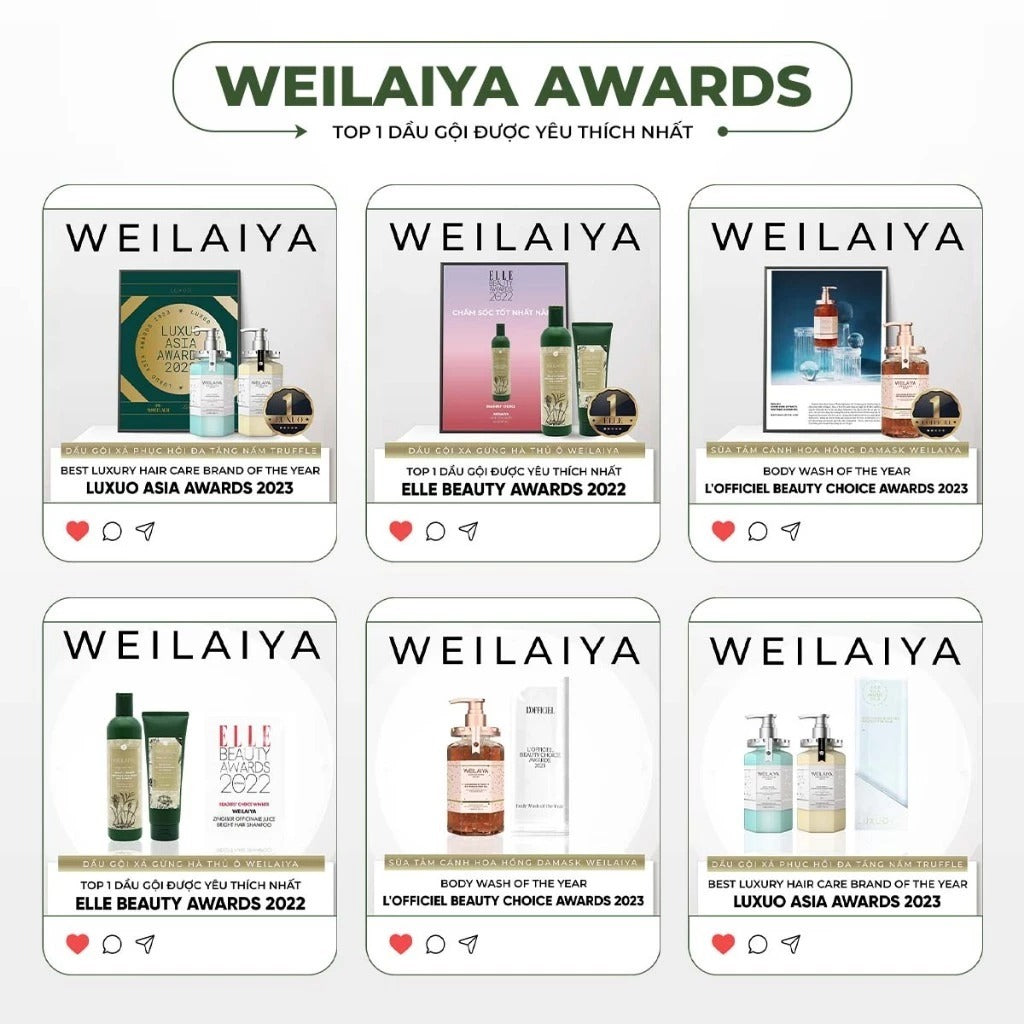 Dầu gội Gừng Vân Nam Weilaiya Luxury – Detox da đầu & kích thích mọc tóc X2