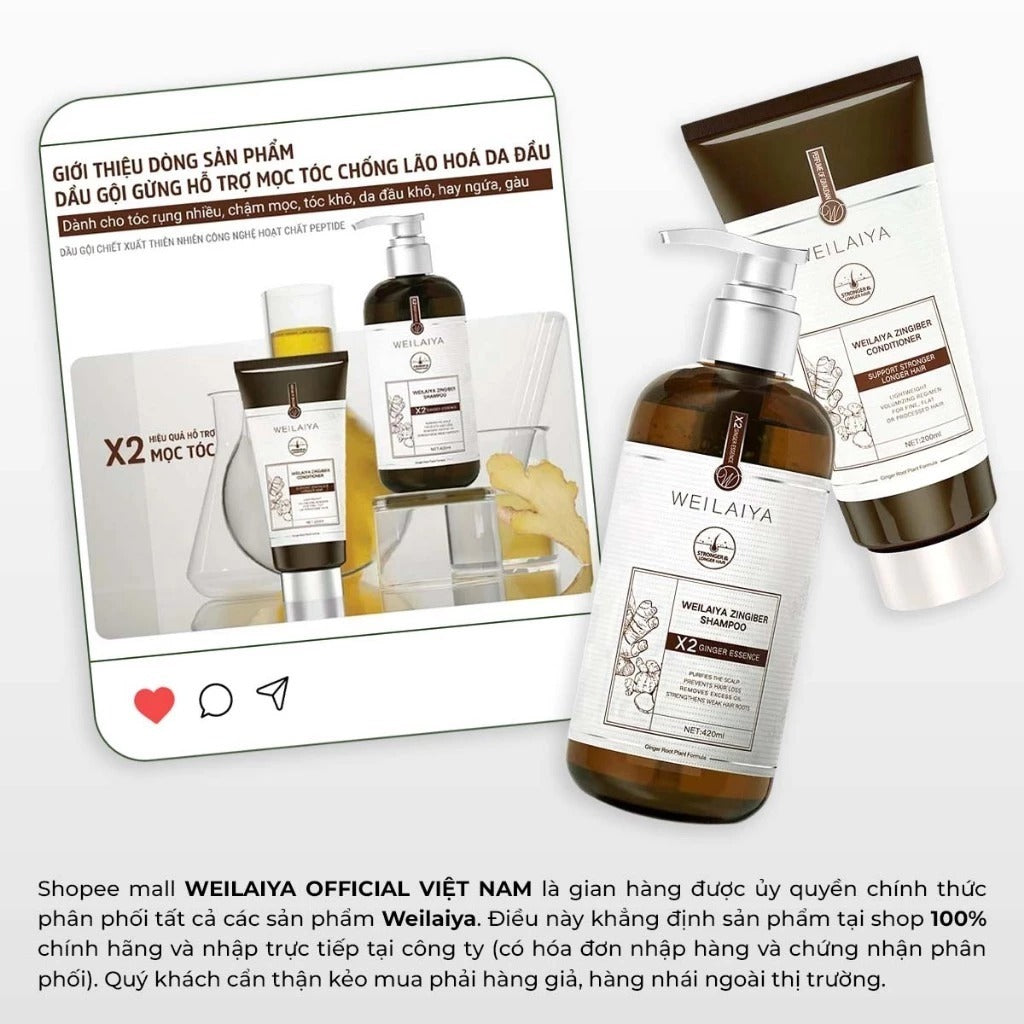 Dầu xả Weilaiya Gừng Hà Thủ Ô Luxury – Chống lão hoá & kích thích mọc tóc tự nhiên