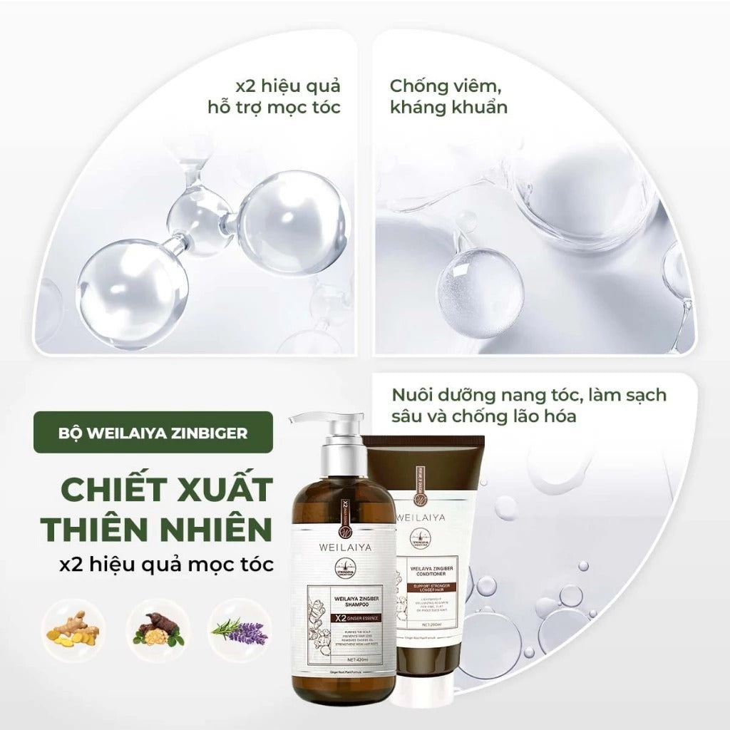 Dầu gội Weilaiya Gừng Hà Thủ Ô Luxury – Làm sạch dịu nhẹ, kích thích mọc tóc & chống lão hoá da đầu