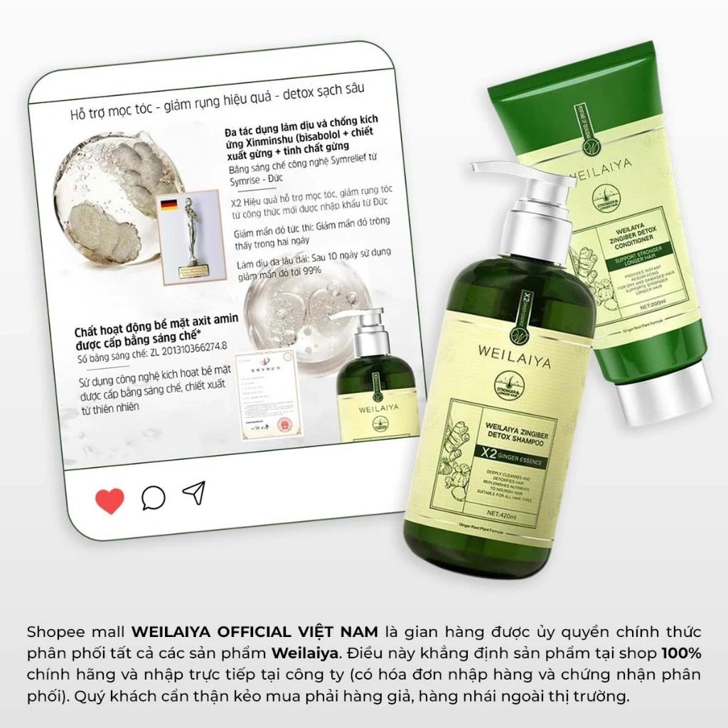 Dầu gội Gừng Vân Nam Weilaiya Luxury – Detox da đầu & kích thích mọc tóc X2